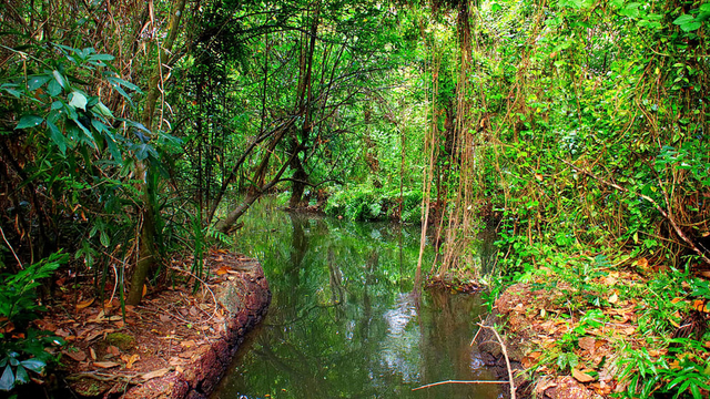 Kumarakom Bird Sanctuary