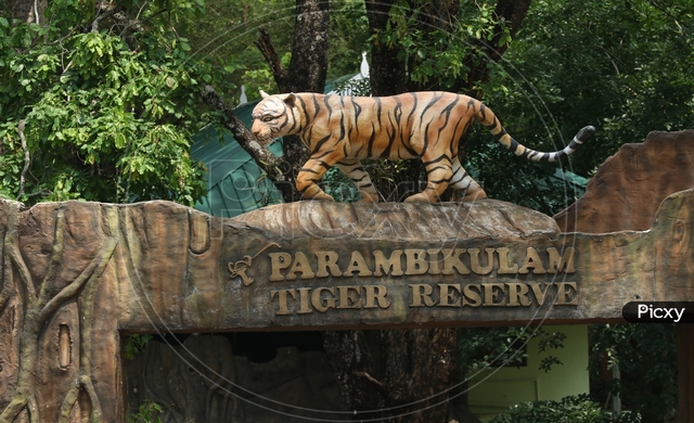 Parambikulam Tiger Reserve